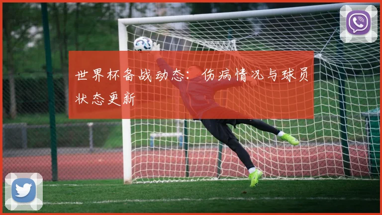 世界杯备战动态：伤病情况与球员状态更新