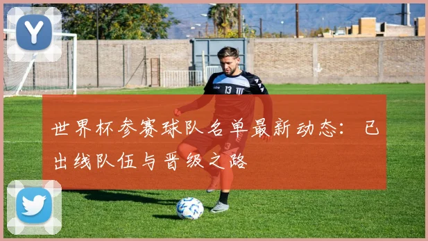 世界杯参赛球队名单最新动态:已出线队伍与晋级之路