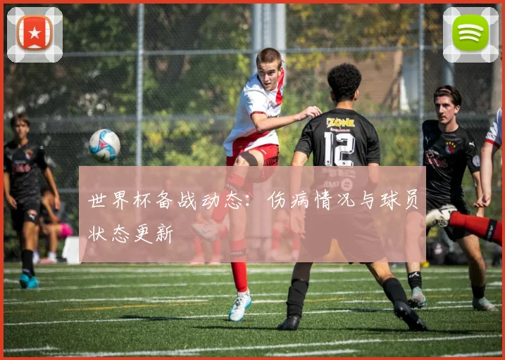 世界杯备战动态:伤病情况与球员状态更新